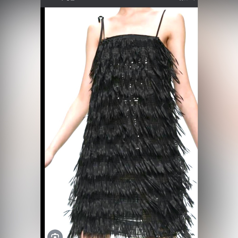 ZARA fringe sequin dress